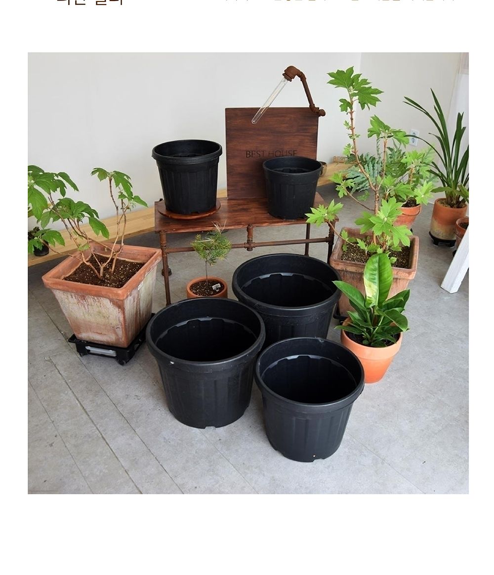 이탈리아 낮은 그레이트 포트 고무 화분 대형 D90L/장식화분/디자인화분/그레이트포트화분/포트화분/고무화