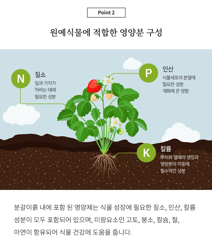 닥터조 프리미엄 분갈이흙 10L/분갈이/분갈이흙/화분흙/흙/분갈이전용흙/영양분갈이흙/화분분갈이/화분분갈