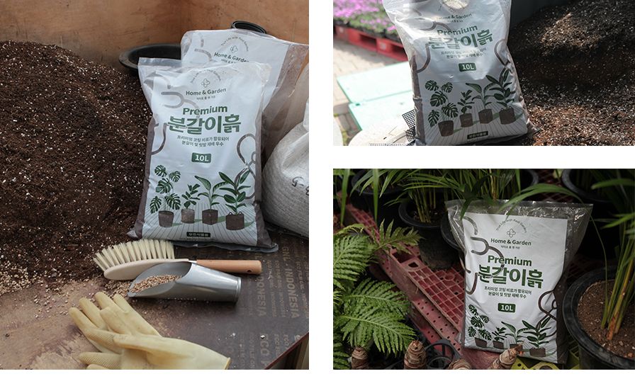 닥터조 프리미엄 분갈이흙 10L/분갈이/분갈이흙/화분흙/흙/분갈이전용흙/영양분갈이흙/화분분갈이/화분분갈