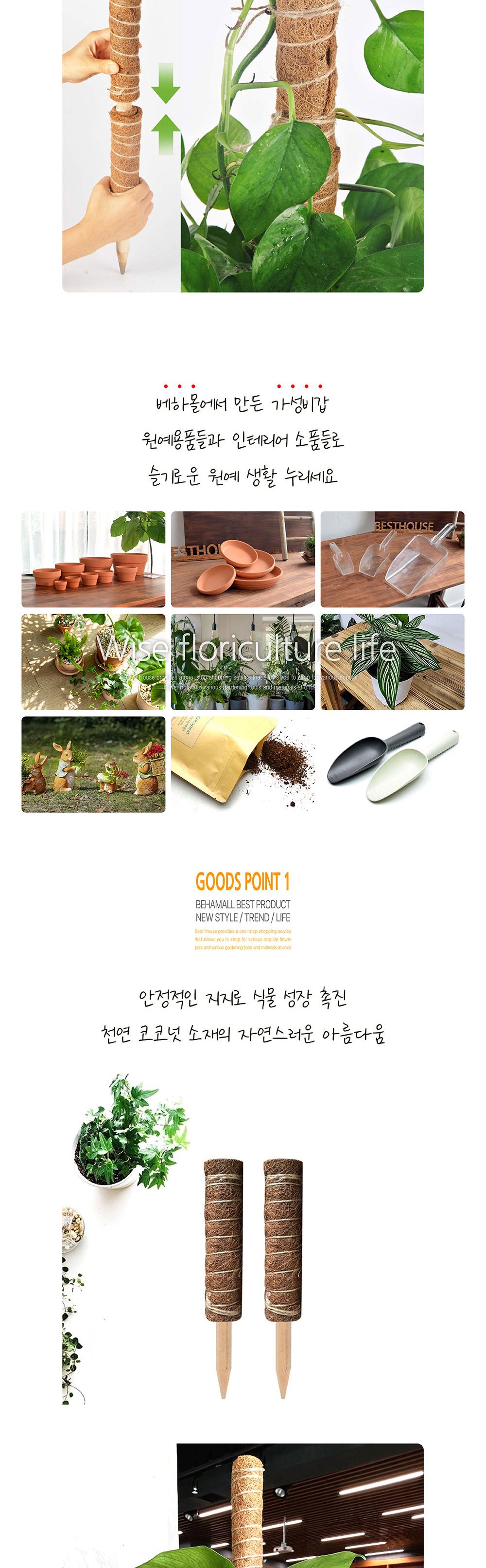 코코넛 야자 스틱 (식물 지주대) 코코봉 80cm/정원말뚝/덩쿨지지대/덩쿨감는봉/식물지지대/식물용스틱/식물
