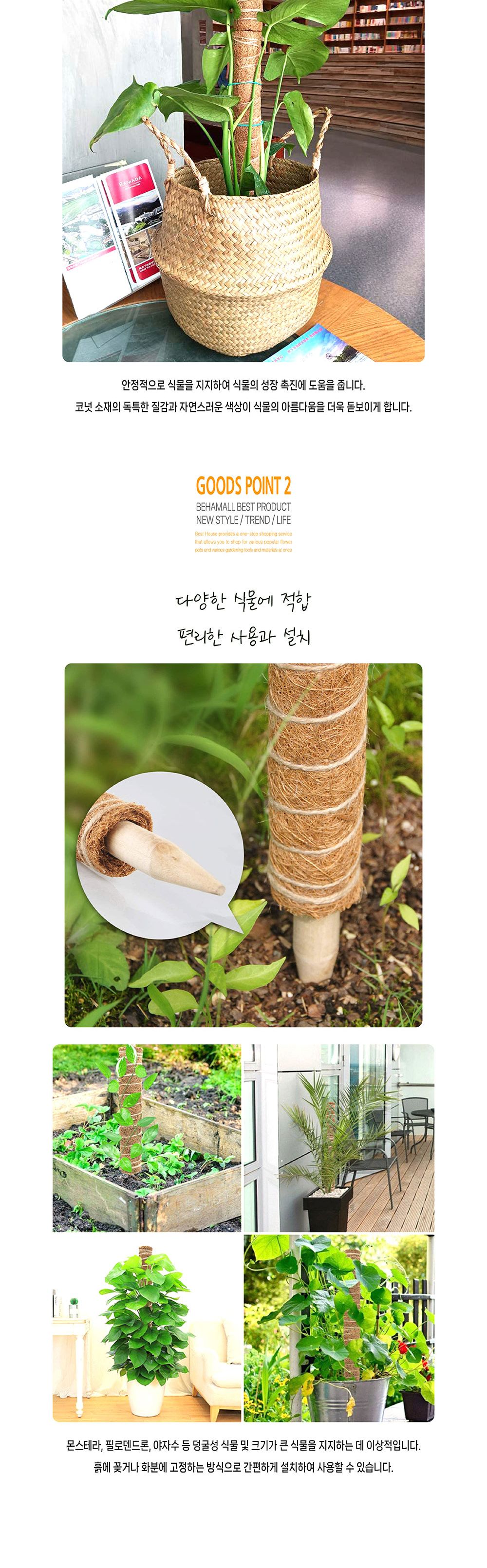 코코넛 야자 스틱 (식물 지주대) 코코봉 80cm/정원말뚝/덩쿨지지대/덩쿨감는봉/식물지지대/식물용스틱/식물