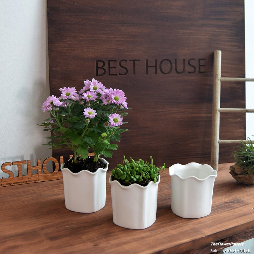 더플라워포터리 고강도 퓨어화이트 토분 표준형 8x8cm/화분/꽃화분/식물화분/플라워화분/꽃집화분/분배화분