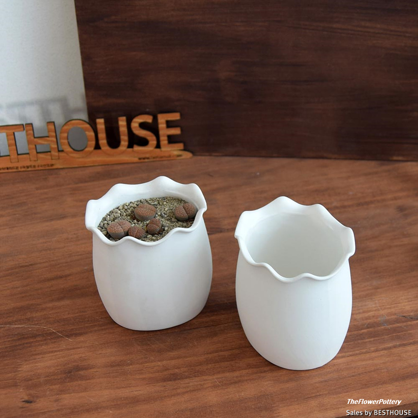 더플라워포터리 고강도 퓨어화이트 토분 표준형 8x8cm/화분/꽃화분/식물화분/플라워화분/꽃집화분/분배화분