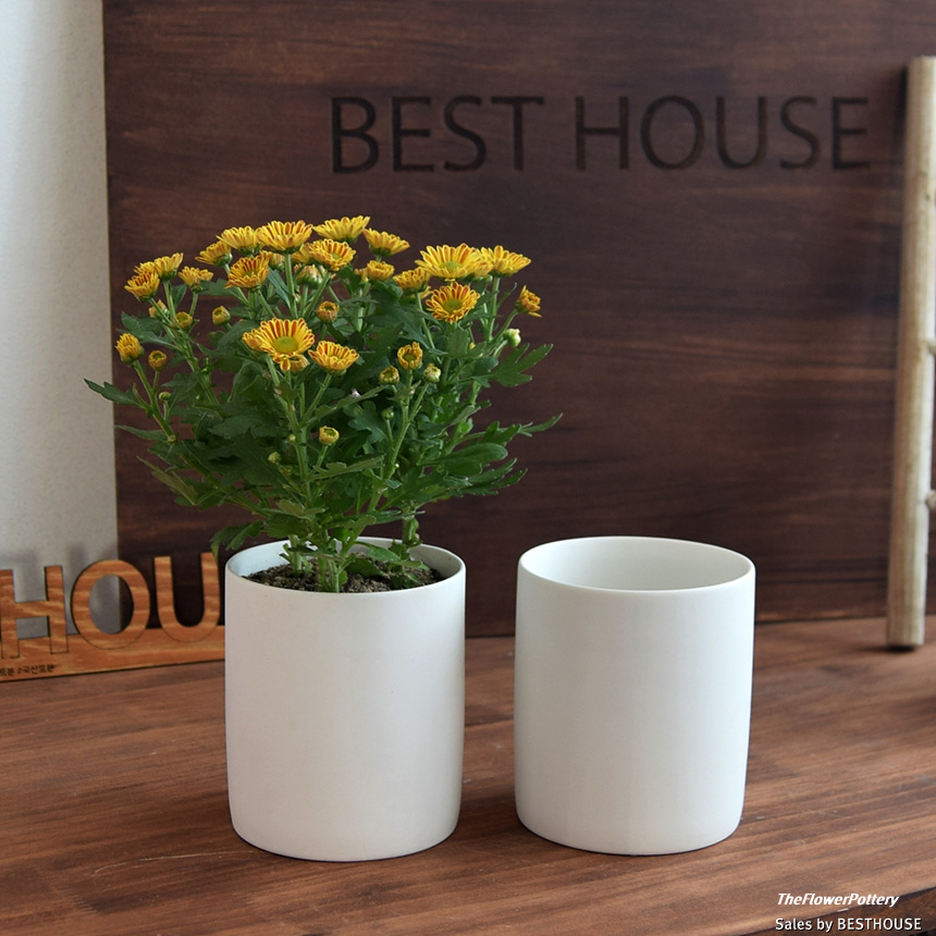 더플라워포터리 고강도 퓨어화이트 토분 표준형 8x8cm/화분/꽃화분/식물화분/플라워화분/꽃집화분/분배화분