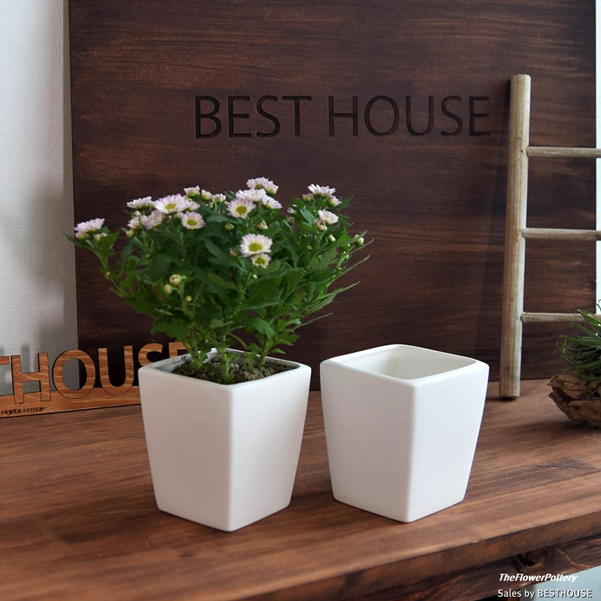 더플라워포터리 고강도 퓨어화이트 토분 표준형 8x8cm/화분/꽃화분/식물화분/플라워화분/꽃집화분/분배화분