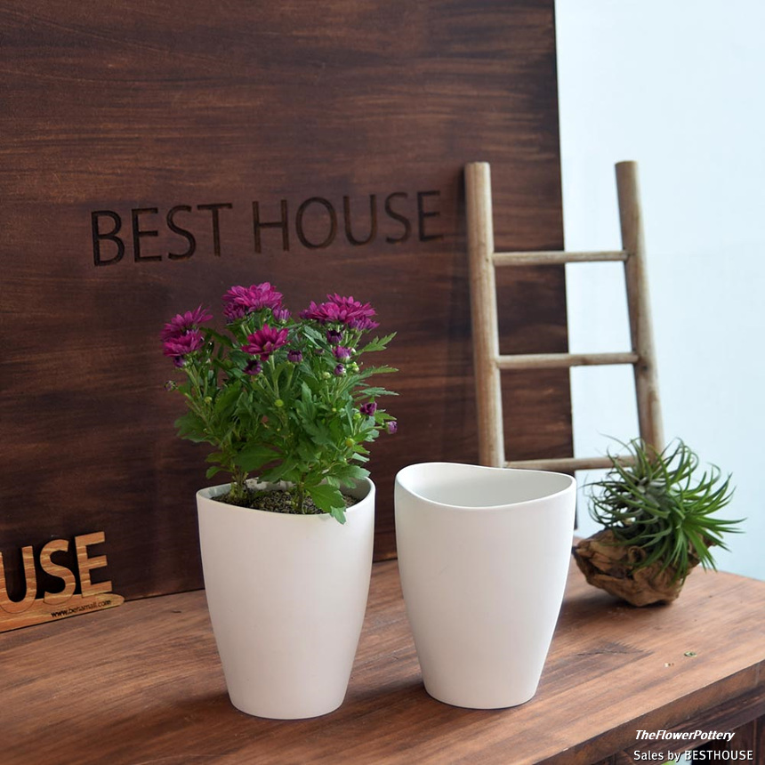 더플라워포터리 고강도 퓨어화이트 토분 표준형 8x8cm/화분/꽃화분/식물화분/플라워화분/꽃집화분/분배화분
