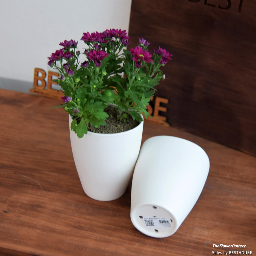 더플라워포터리 고강도 퓨어화이트 토분 표준형 8x8cm/화분/꽃화분/식물화분/플라워화분/꽃집화분/분배화분