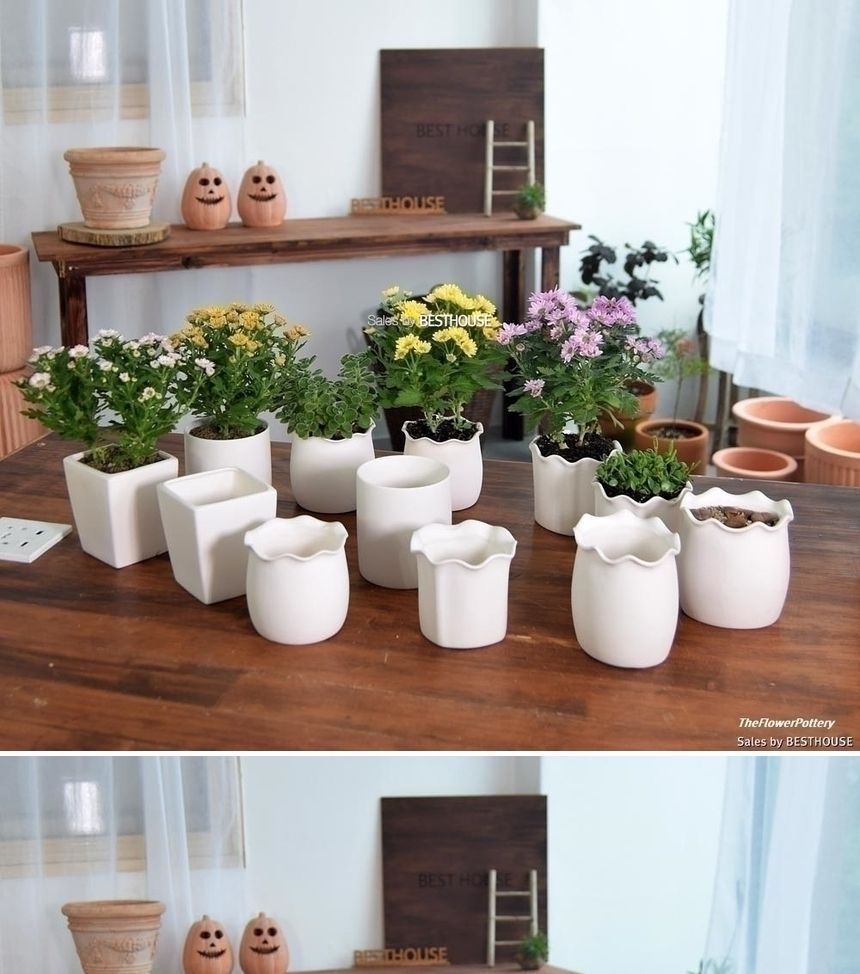 더플라워포터리 고강도 퓨어화이트 토분 표준형 8x8cm/화분/꽃화분/식물화분/플라워화분/꽃집화분/분배화분