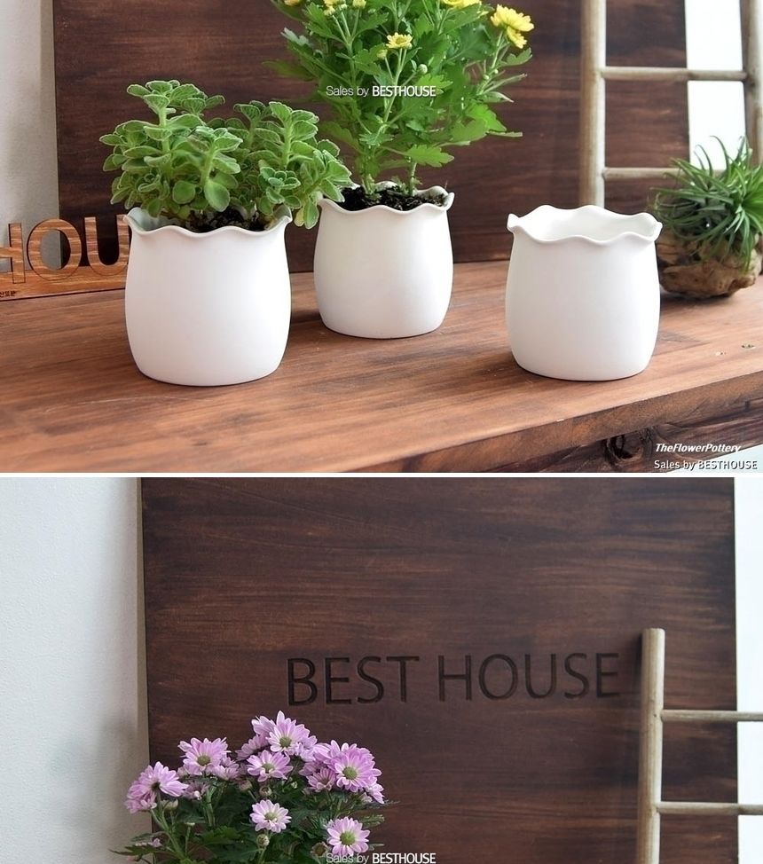 더플라워포터리 고강도 퓨어화이트 토분 표준형 8x8cm/화분/꽃화분/식물화분/플라워화분/꽃집화분/분배화분