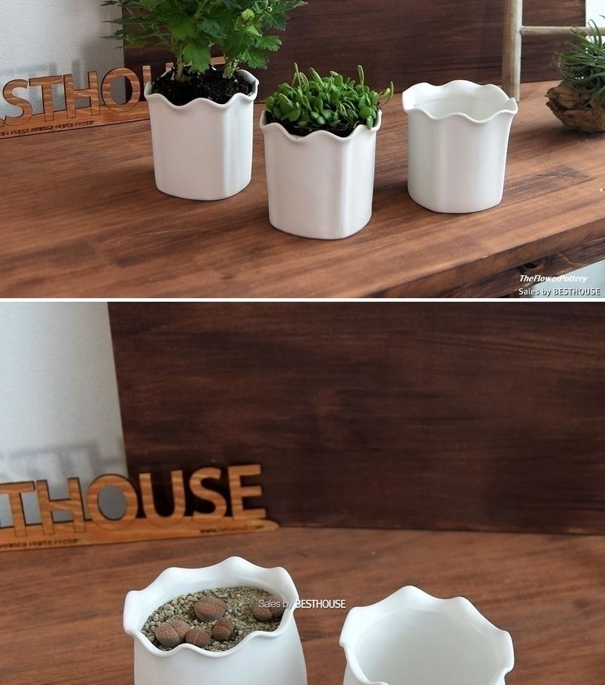 더플라워포터리 고강도 퓨어화이트 토분 표준형 8x8cm/화분/꽃화분/식물화분/플라워화분/꽃집화분/분배화분