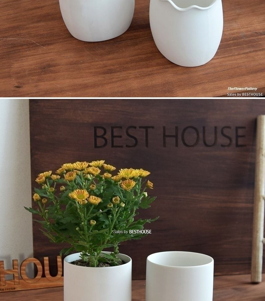 더플라워포터리 고강도 퓨어화이트 토분 표준형 8x8cm/화분/꽃화분/식물화분/플라워화분/꽃집화분/분배화분