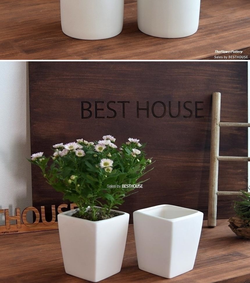 더플라워포터리 고강도 퓨어화이트 토분 표준형 8x8cm/화분/꽃화분/식물화분/플라워화분/꽃집화분/분배화분