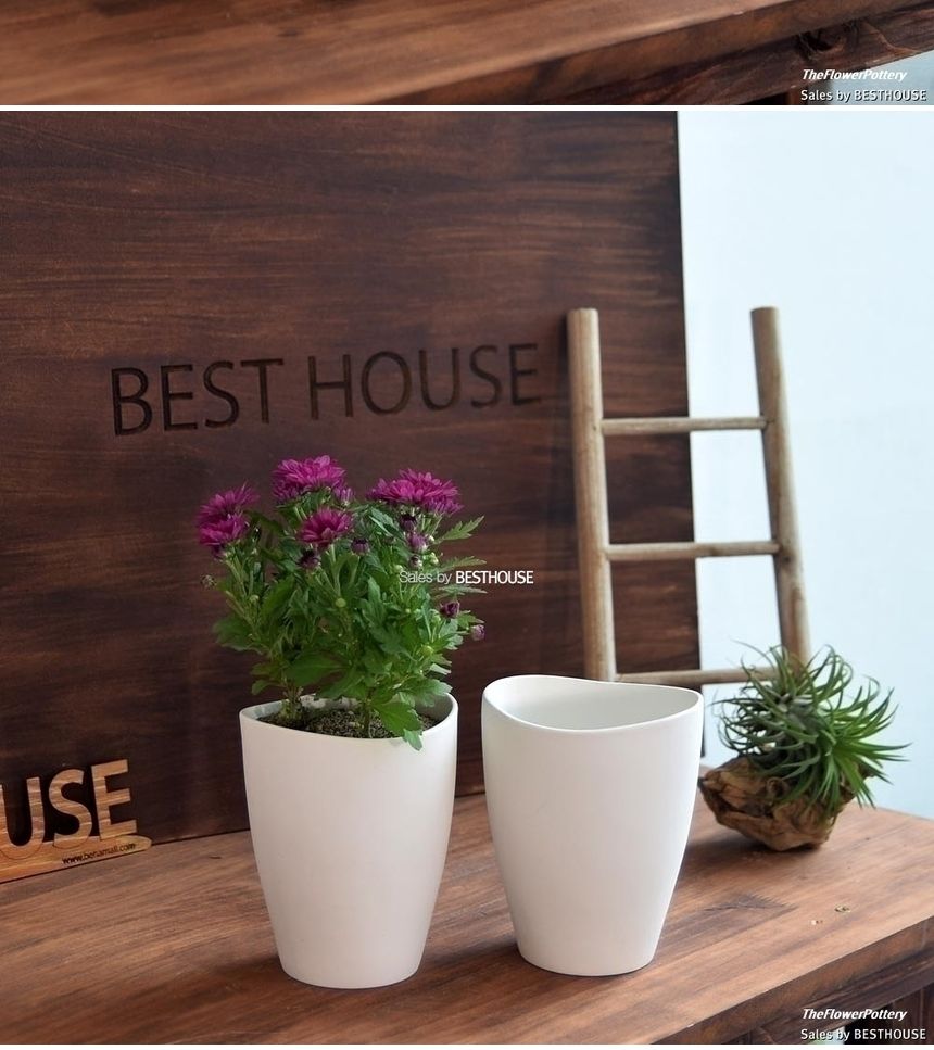 더플라워포터리 고강도 퓨어화이트 토분 표준형 8x8cm/화분/꽃화분/식물화분/플라워화분/꽃집화분/분배화분