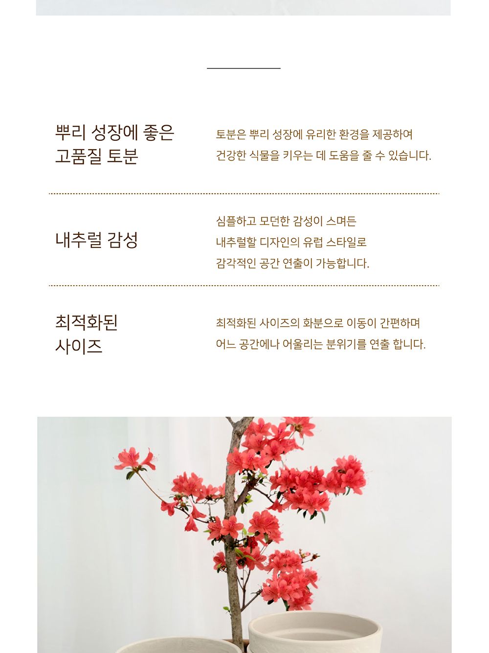 3개셋트 베하몰 독일 표준형 토분 13x11cm 그래니트/화분/꽃화분/식물화분/플라워화분/꽃집화분/분배화분/