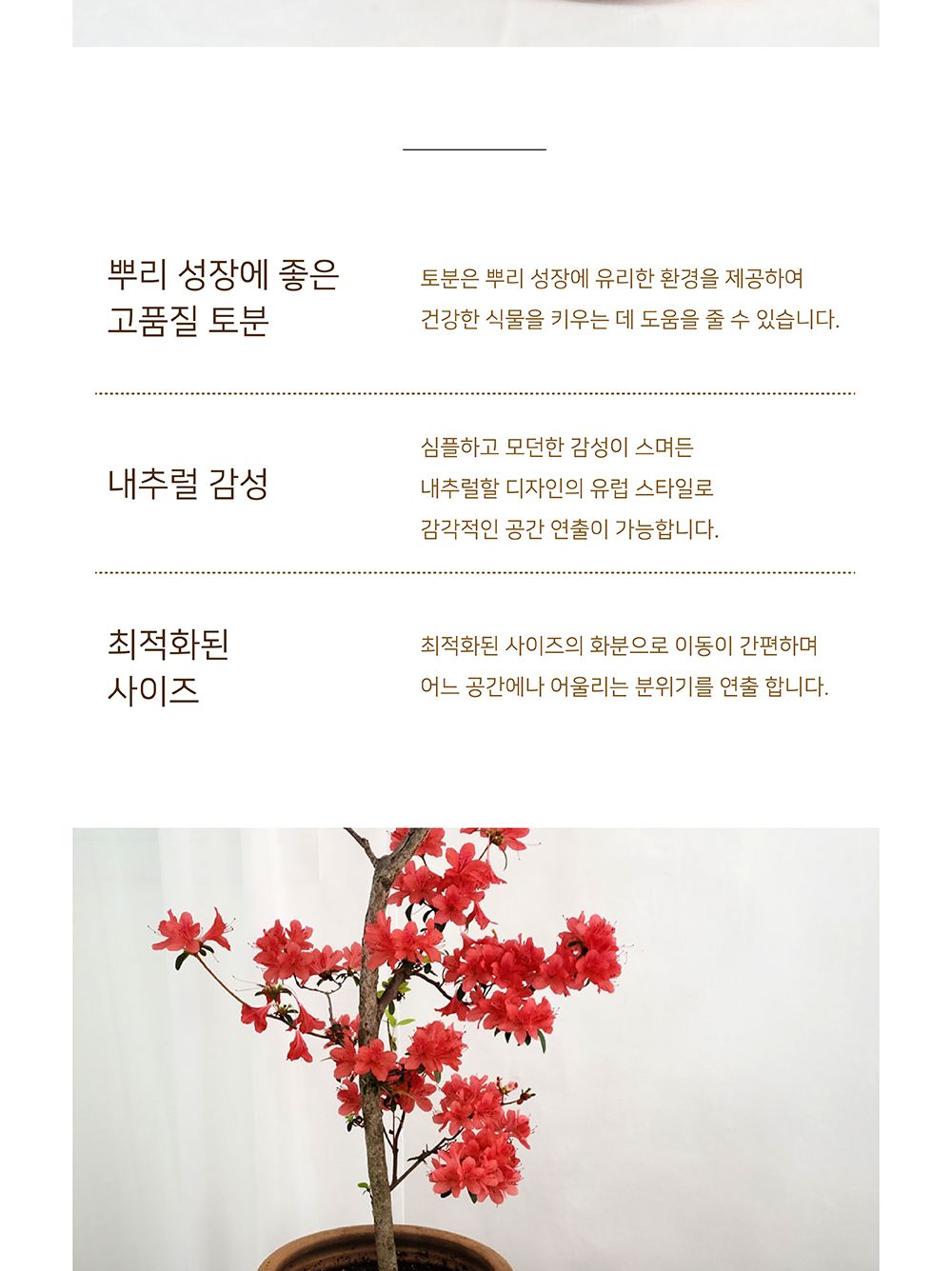 3개셋트 베하몰 독일 표준형 토분 13x11cm 엔티크/화분/꽃화분/식물화분/플라워화분/꽃집화분/분배화분/인