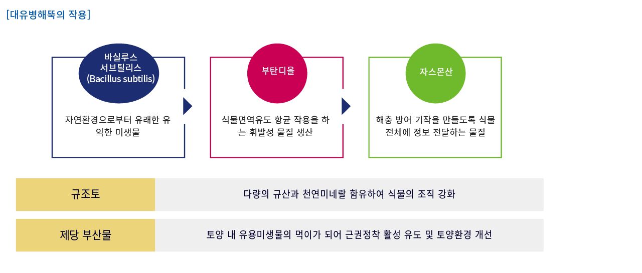 대유 병해뚝 입제 (과립) 3Kg/살충제/해충관리제/해충제거제/유기농업자제/과립살충제/벌레제거제/식물살충
