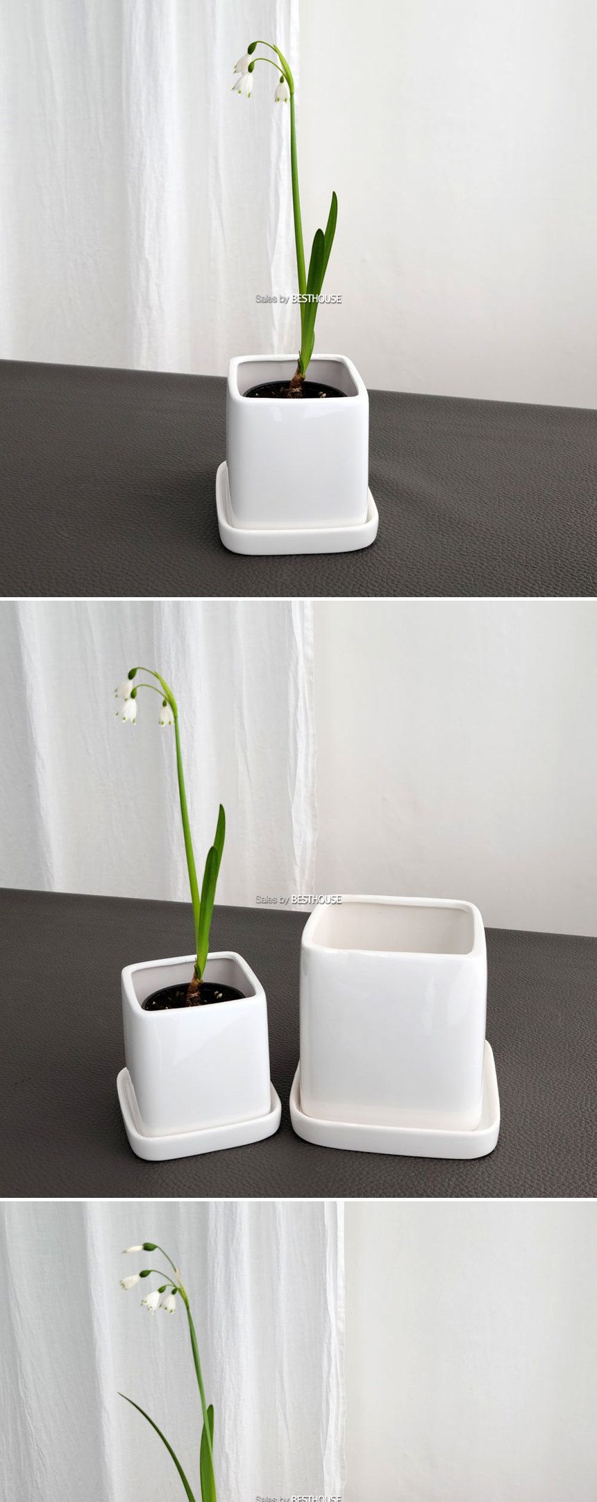 모던 도기 라운드코너 사각 유광 화분 11x11x11cm/화분/사각형화분/흰색화분/깔끔한화분/네모화분/모종화분