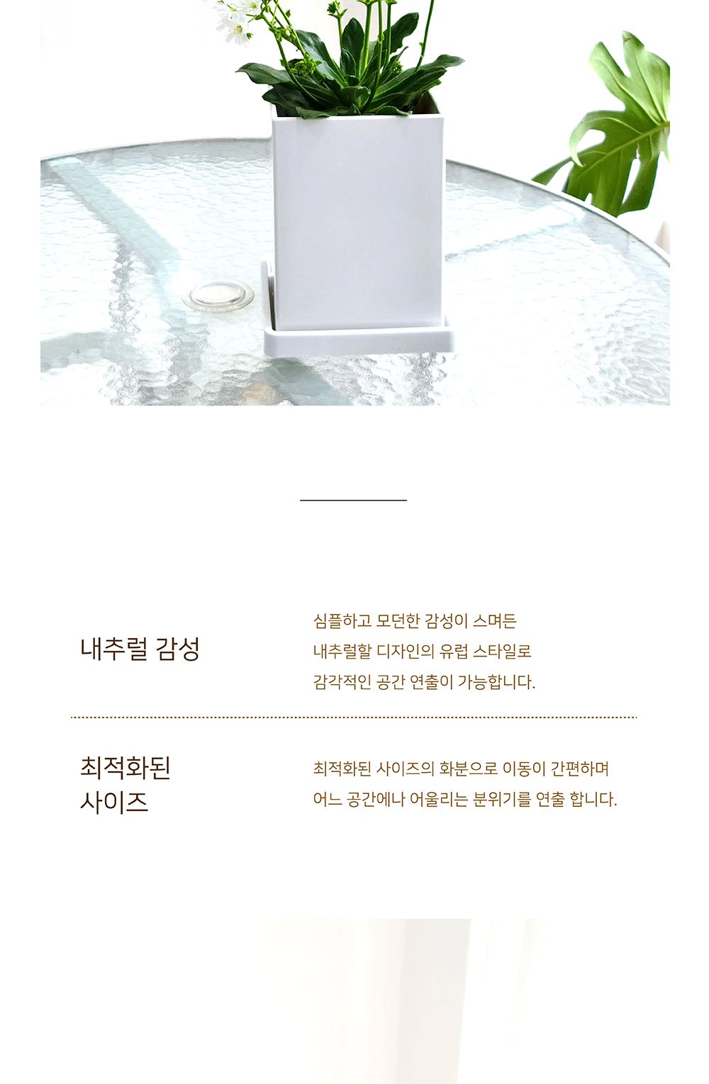 베하몰 고강도 플라스틱 긴사각 화분 17x17x20cm/화분/가벼운화분/플라스틱화분/꽃화분/식물화분/플라워화