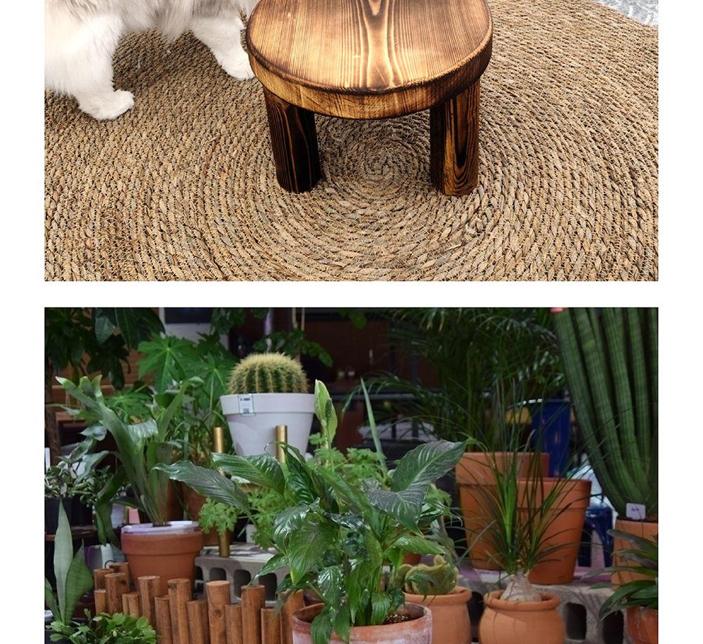 원목 화분 받침대 우드스텐드 소 22x15cm 원형/화분받침대/원목화분받침대/인테리어화분받침대/우드스탠드/