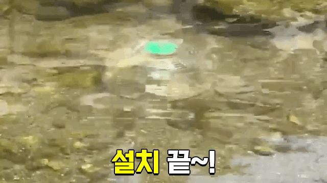싸파 멋진 아빠 민물 어항 세트 낚시어항 민물어항 물고기어항 낚시도구 낚시소품 낚시용품 낚시편의도구 민물낚시어항 낚시용어항 낚시물고기가방