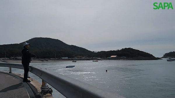 싸파 더블킬 민뱅채비 12cm 3개입 SDK-MBG12 유동 갑오징어 채비 낚시용품 낚시소품 바다낚시 바다낚시용품 갑오징어채비 축광에기 두족류에기 두족류채비 야광채비 야광에기 민뱅채피