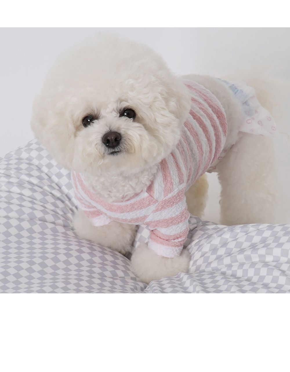 두부쿠션 파스텔블루/강아지방석/애견방석/반려견방석/강아지침대/강아지쿠션/애견침대/반려견침대/애견방