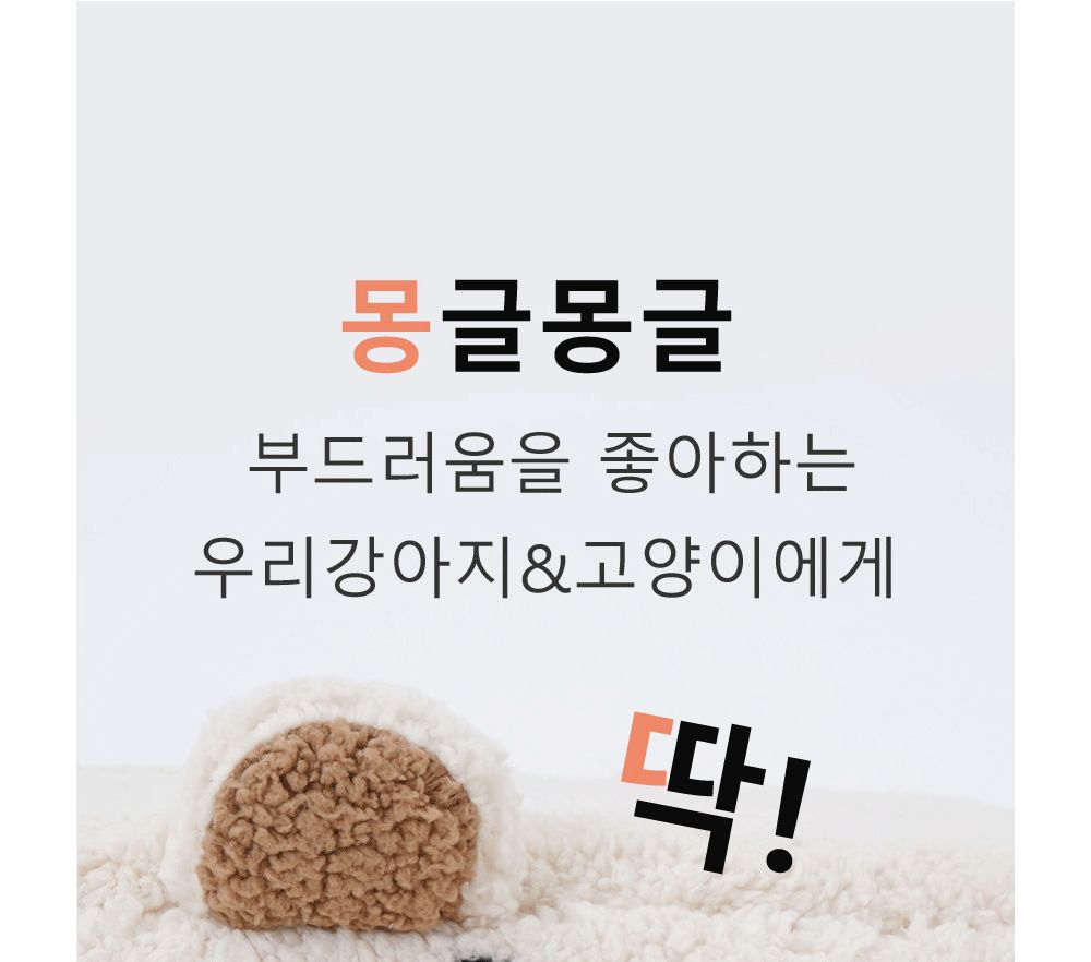 캣치치 하우스 중형 그레이/강아지집/애견집/반려견집/강아지하우스/반려견하우스/강아지전용집/펫테리어템
