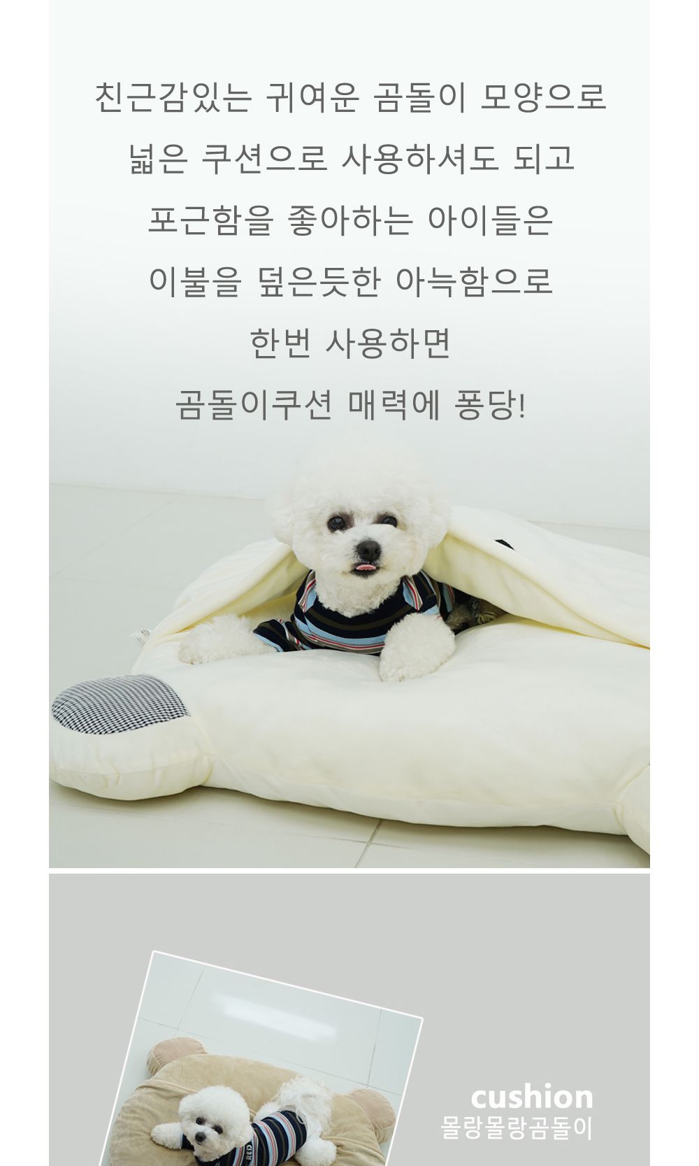 몰랑몰랑 곰돌이 쿠션 크림아이보리/강아지방석/애견방석/반려견방석/강아지침대/강아지쿠션/애견침대/반려