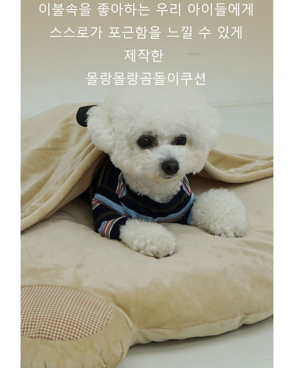 몰랑몰랑 곰돌이 쿠션 크림아이보리/강아지방석/애견방석/반려견방석/강아지침대/강아지쿠션/애견침대/반려