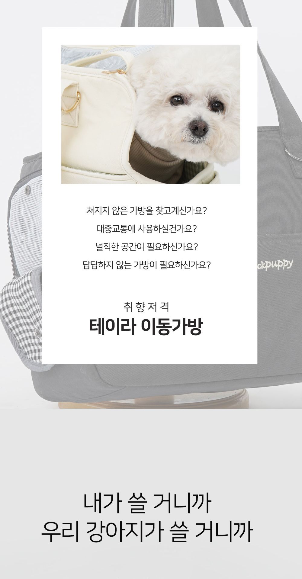 코쉬 콘솔 카시트 베이비베이지/카시트/펫카시트/강아지카시트/강아지시트/애견카시트/애견용시트/반려동물
