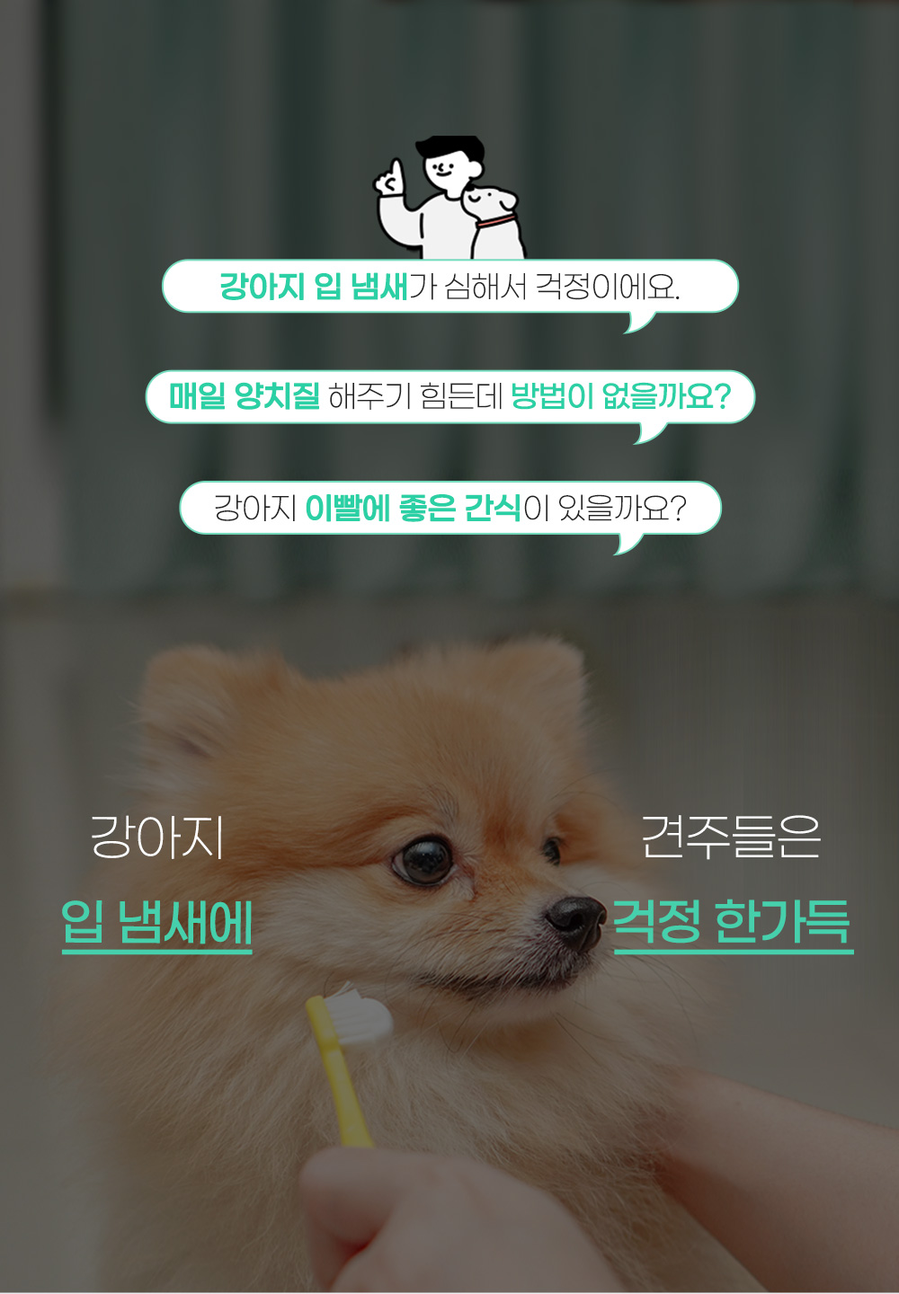 덴탈스틱 후레시 블루베리(작은별)220g/껌/애견껌/강아지껌/강아지간식/애견간식/반려견껌/반려동물간식/반