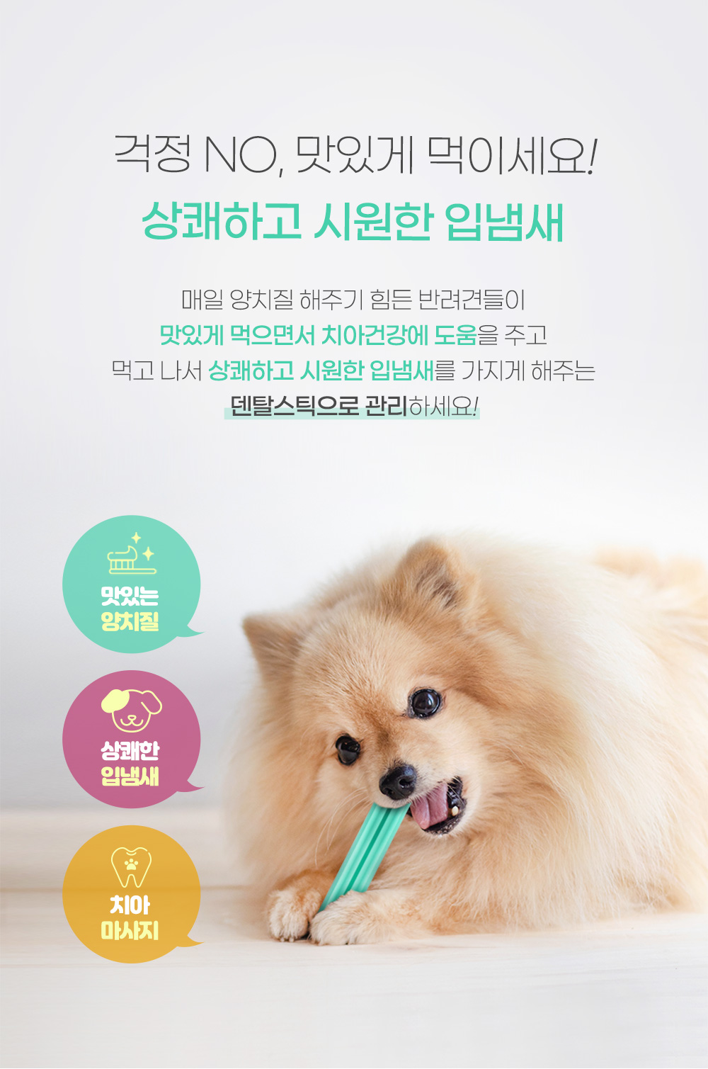 덴탈스틱 후레시 블루베리(작은별)220g/껌/애견껌/강아지껌/강아지간식/애견간식/반려견껌/반려동물간식/반