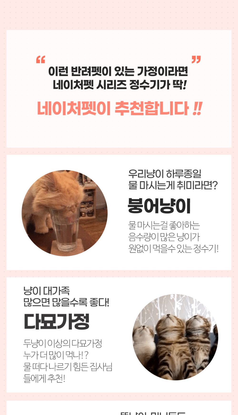 네이처펫 고양이 정수기(민트)/급수기/애견급수기/강아지급수기/고양이급수기/캣급수기/반려동물급수기/강