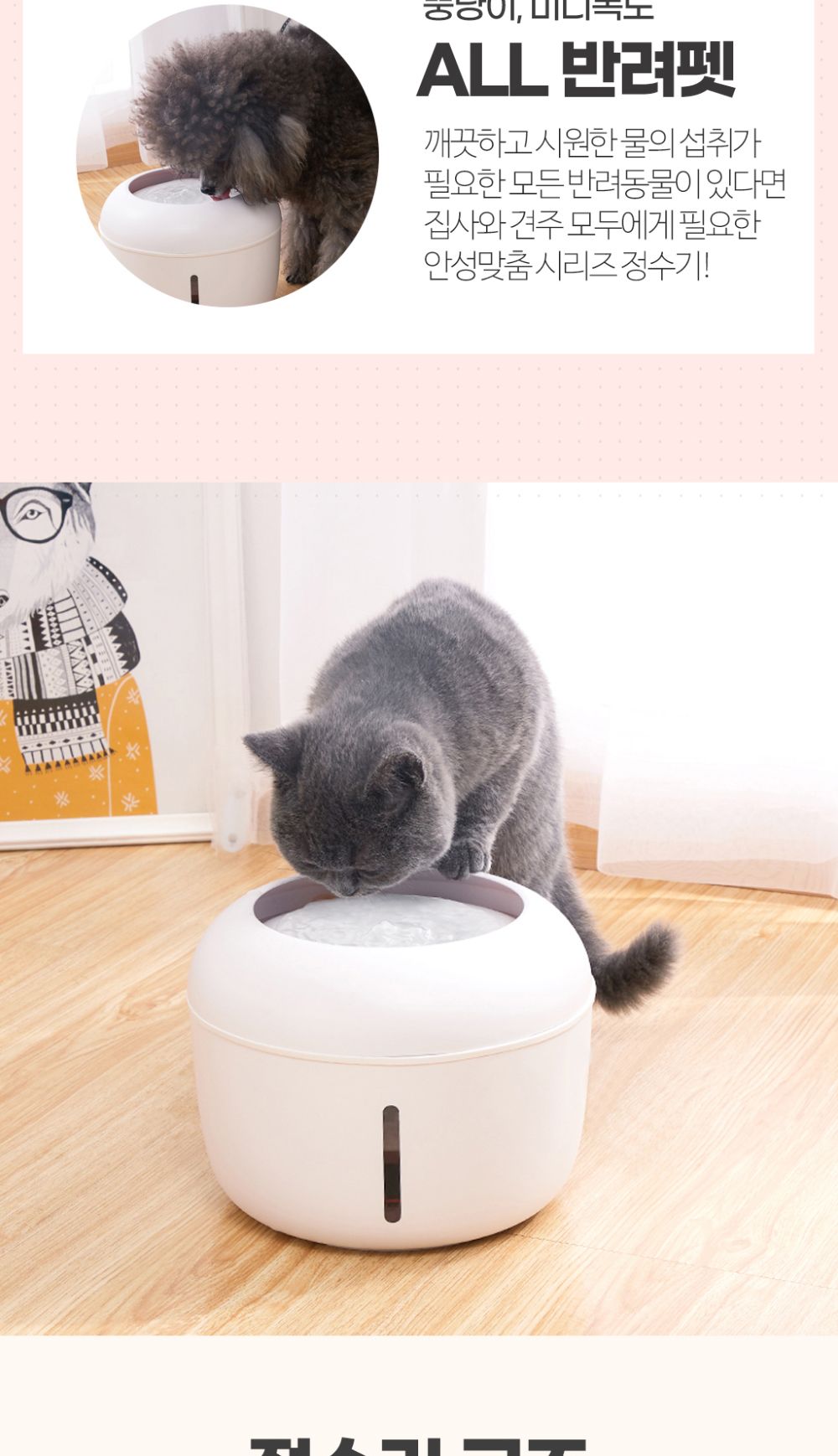 네이처펫 고양이 정수기(민트)/급수기/애견급수기/강아지급수기/고양이급수기/캣급수기/반려동물급수기/강
