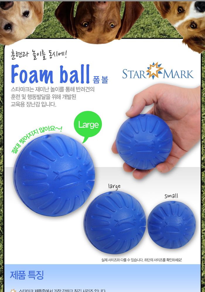 판타스틱 폼볼L(블루)/강아지용품/강아지장난감/반려동물장난감/반려견장난감/강아지놀이/애견장난감/훈련