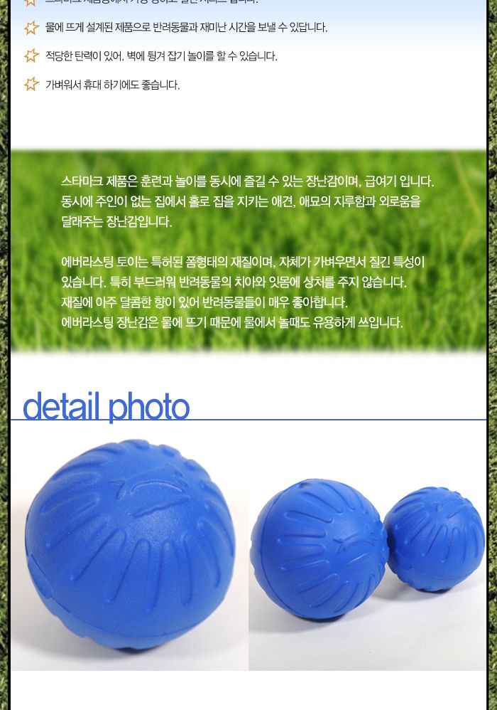 판타스틱 폼볼L(블루)/강아지용품/강아지장난감/반려동물장난감/반려견장난감/강아지놀이/애견장난감/훈련