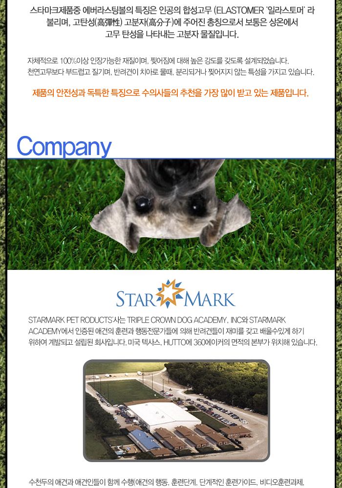 판타스틱 폼볼L(블루)/강아지용품/강아지장난감/반려동물장난감/반려견장난감/강아지놀이/애견장난감/훈련