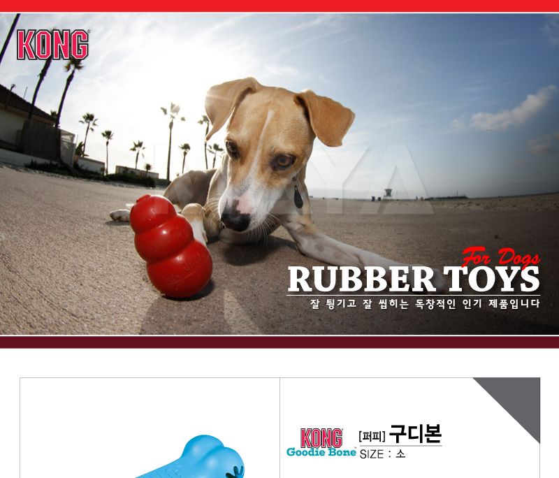 콩 퍼피 구디본 소 색상임의/뼈다귀장난감/본장난감/놀이용장난감/훈련장난감/반려견장난감/강아지훈련장난