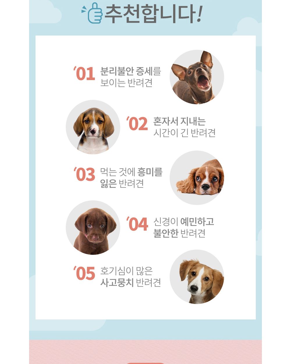 노즈플레잉 코노리 스니핑토이 배추/강아지공장난감/강아지노즈워크/강아지간식볼/강아지흥미유발/강아지인