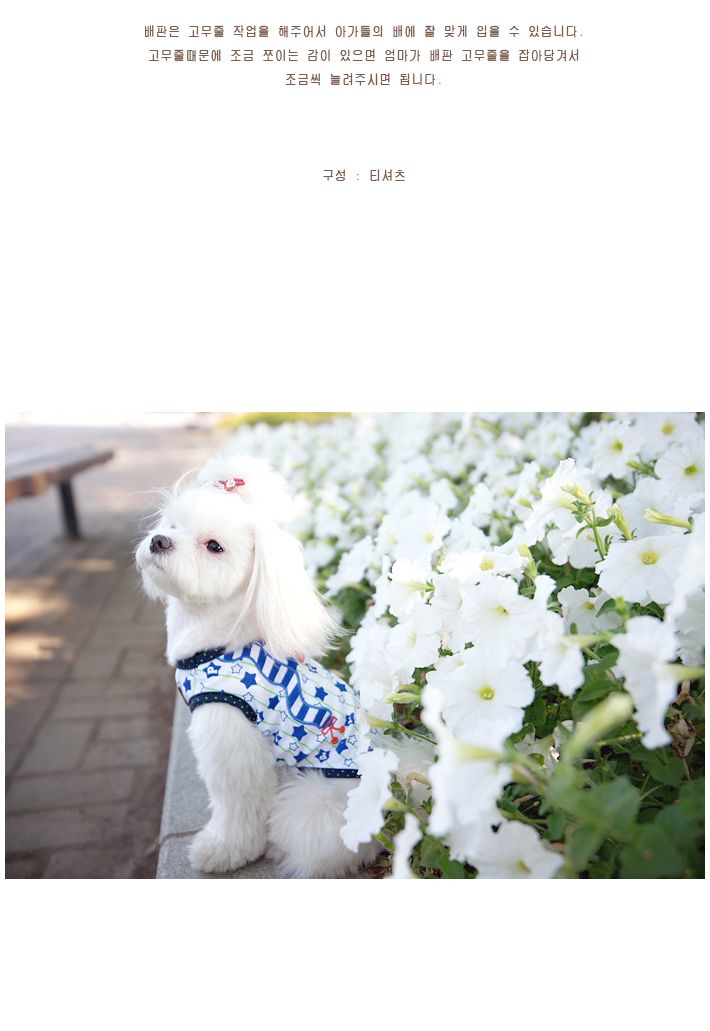 톰보이 핑크 L/애견용티셔츠/강아지티셔츠/애완견옷/강아지옷/애견옷/반려견옷/강아지패션/애견티/애견디자