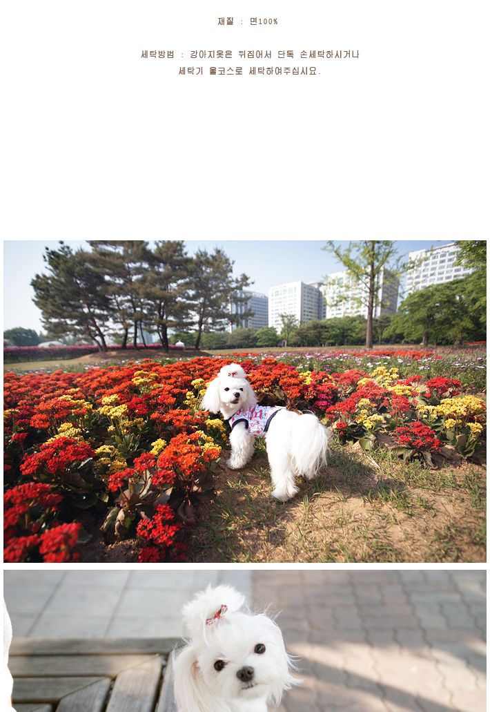 톰보이 핑크 L/애견용티셔츠/강아지티셔츠/애완견옷/강아지옷/애견옷/반려견옷/강아지패션/애견티/애견디자
