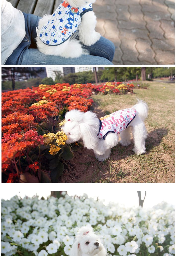 톰보이 핑크 L/애견용티셔츠/강아지티셔츠/애완견옷/강아지옷/애견옷/반려견옷/강아지패션/애견티/애견디자