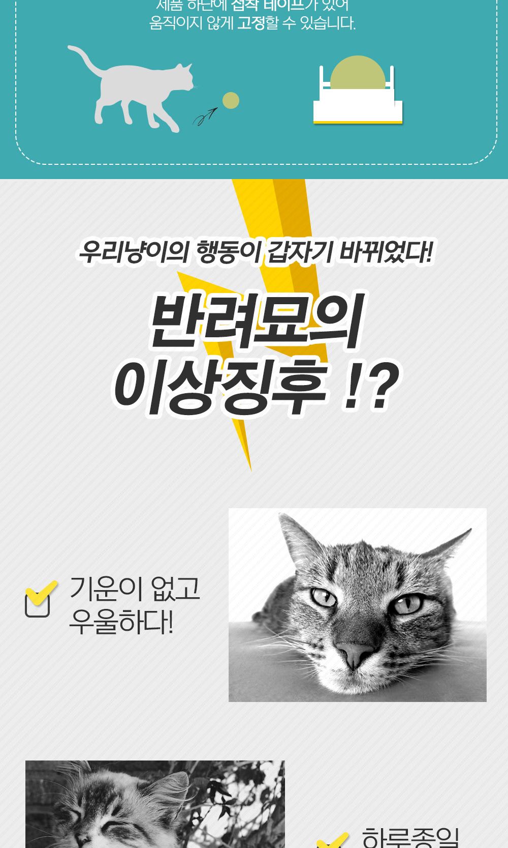 냥냥이 롤링 캣닢사탕/캣닢/애묘캣닢/고양이캣닢/애완묘캣닢/반려묘캣닢/캣닢사탕/캣닢캔디/고양이간식/애
