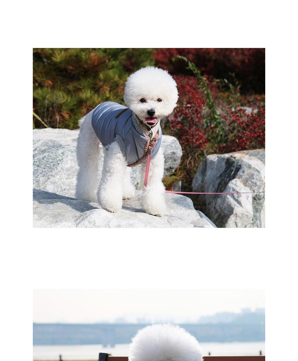 6온스패딩 레드S/강아지패션/애견패딩/애견용패딩/펫겨울패딩/강아지패딩/강아지누빔조끼/강아지노스패딩/