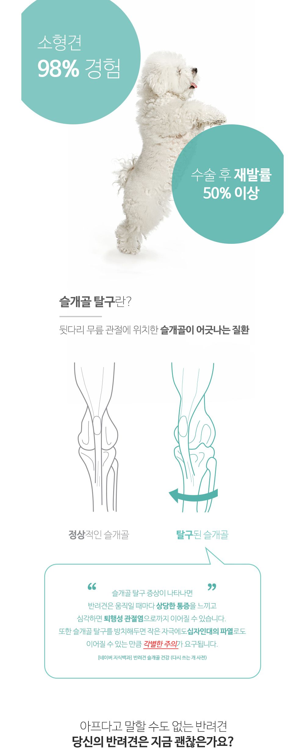 프리미엄 논슬립패드(소형)50매X6개(1타)/패드/배변패드/배변훈련/강아지패드/강아지배변패드/반려견배변패