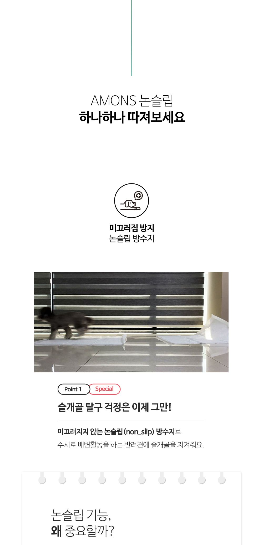 프리미엄 논슬립패드(소형)50매X6개(1타)/패드/배변패드/배변훈련/강아지패드/강아지배변패드/반려견배변패