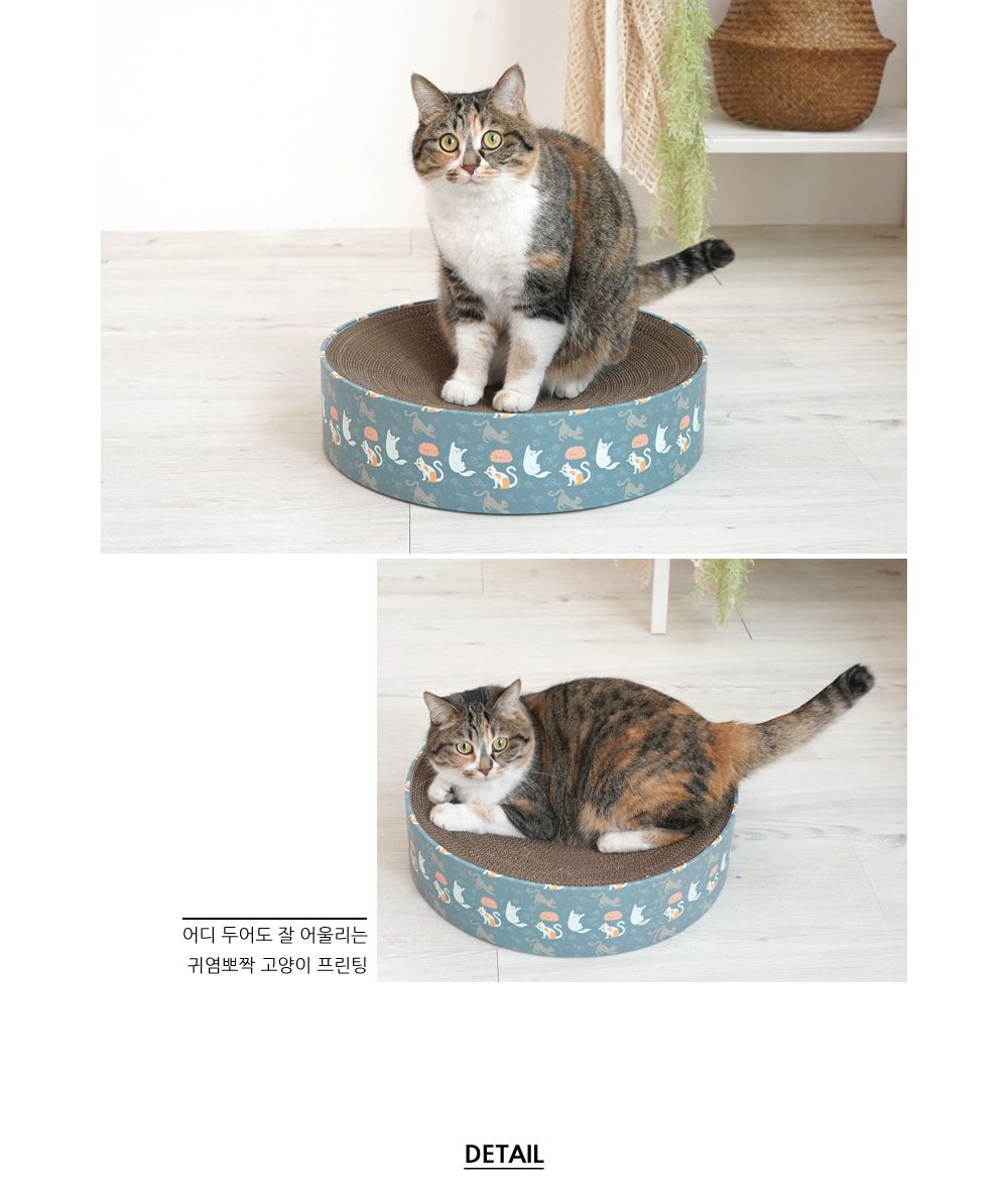 패리스독 원형스크래쳐(블루냥냥)/스크래처/고양이스크래쳐/반려묘스크래처/애묘스크래처/고양이장난감/냥