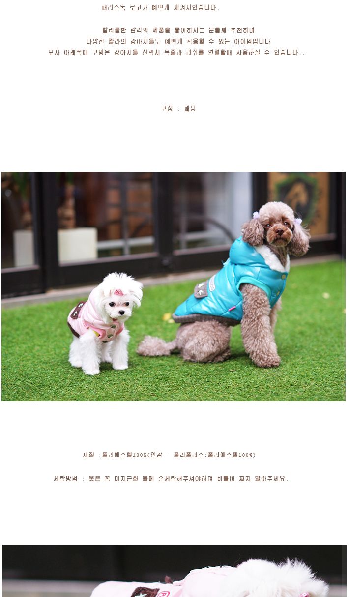 파일럿패딩(블루)S/강아지옷/강아지외출복/강아지예쁜옷/반려견옷/반려견외출복/개옷/강아지패션용품/반려