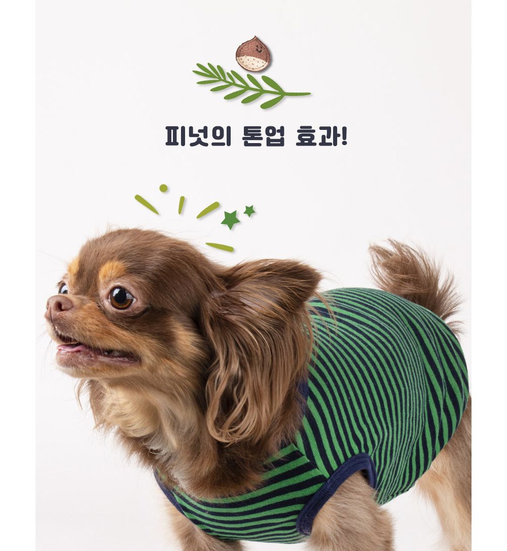 스트라이프 티셔츠(피넛)/강아지티셔츠/강아지티/반려견티/반려견티셔츠/반려견산책옷/강아지산책옷/개산책