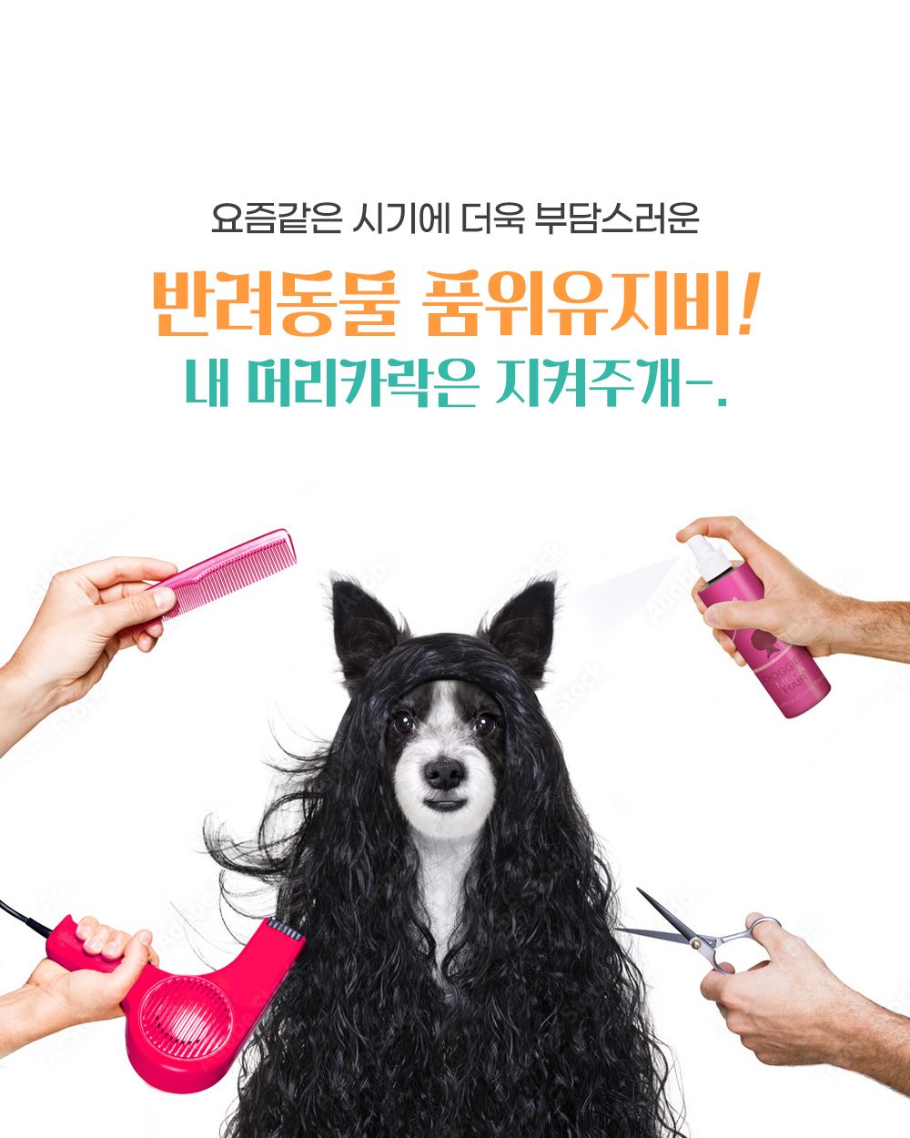 모모 프리미엄 미용 장숱가위만/애견용이발가위/애견용가위/미용가위/애견미용기구/반려견미용가위/애견미